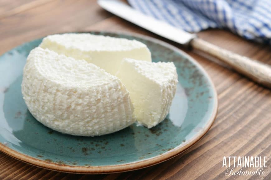 homemade ricotta cheese on a blue plate
