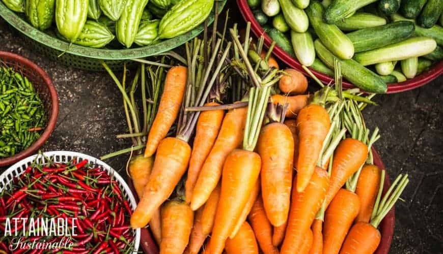 garden fresh carrots with bittermelon, peppers, and other vegetables in various containers