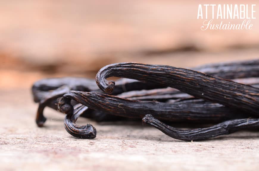 whole vanilla beans