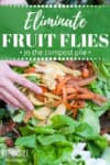 vegetable scraps held by hand over compost pile
