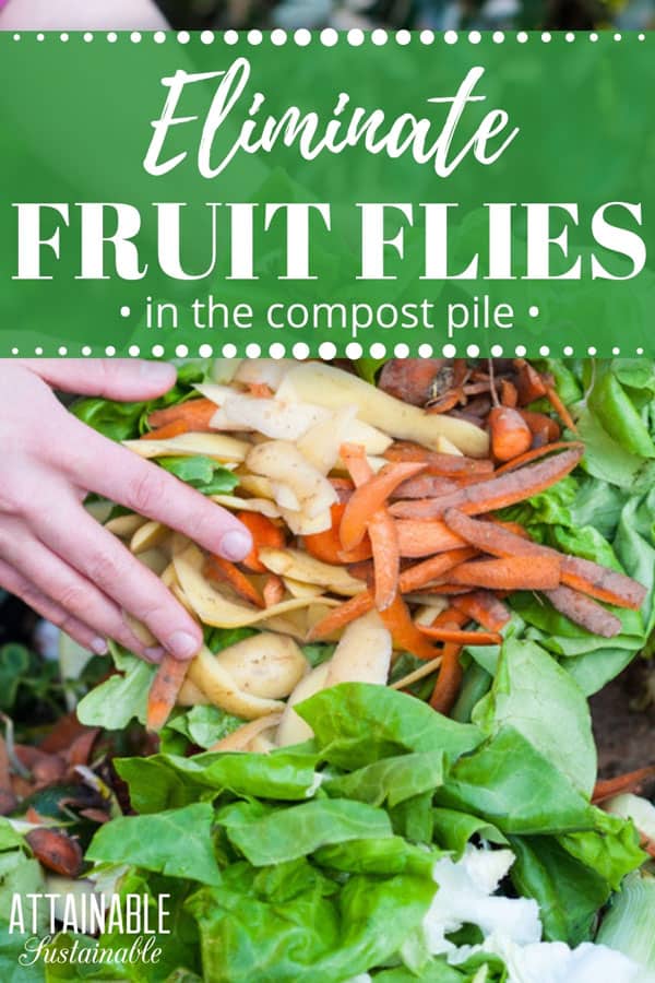 vegetable scraps held by hand over compost pile