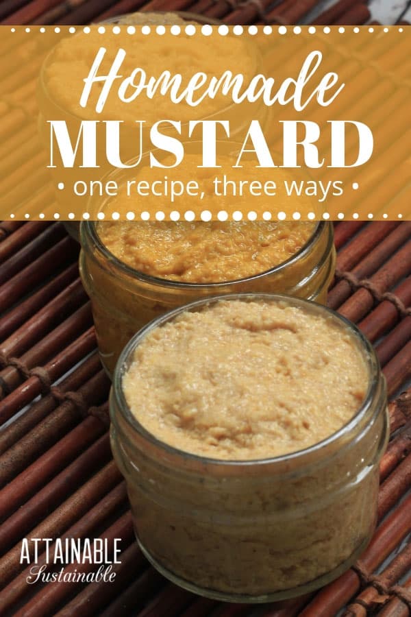 This homemade mustard recipe - a whole grain gourmet mustard - is mind-bogglingly easy and it tastes great! Just 3 ingredients and a few minutes to prepare. 3 glass jars of homemade mustard