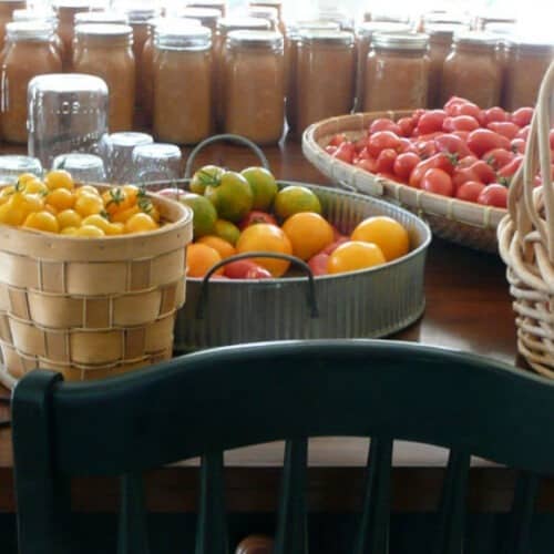 fresh tomatoes in baskets ready to make canned salsa