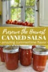fresh tomatoes, top; canned salsa, bottom