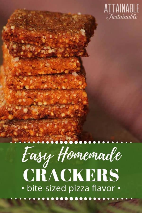 If you're a fan of pizza, you're going to love these crispy, crunchy gluten free crackers. They're great for snacking on fresh out of the oven, or top them with a bit of mozzarella cheese to really up the flavor. These gluten free crackers are an absolute winner! #glutenfree #recipe #snack