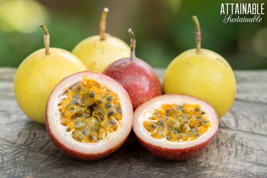 Passion Fruit Juice - How to Make Liliko'i Nectar from Hawaii