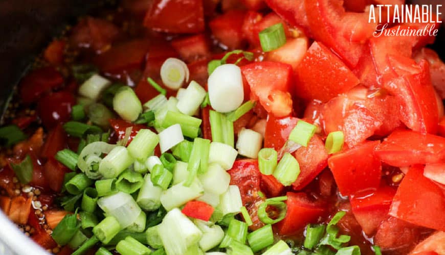 chopped tomatoes and green onions in a silver bowl
