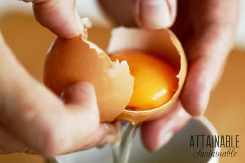 cooking basics: How to Separate an egg