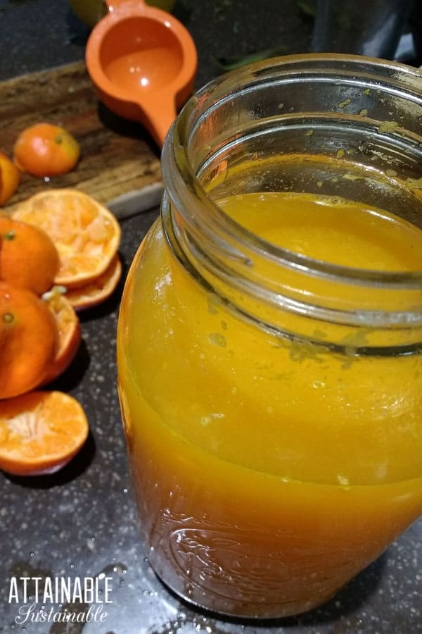 tangerine juice in a half-gallon glass jar, with cut tangerines behind