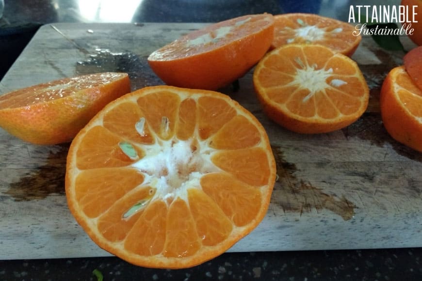 Tangerines sliced in half on a cutting board