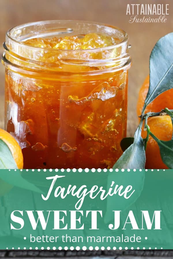 A twist on the usual, this tangerine marmalade recipe is less bitter than standard marmalade. You might even call it tangerine jam. Without the bitter peels, this becomes a much smoother spread.