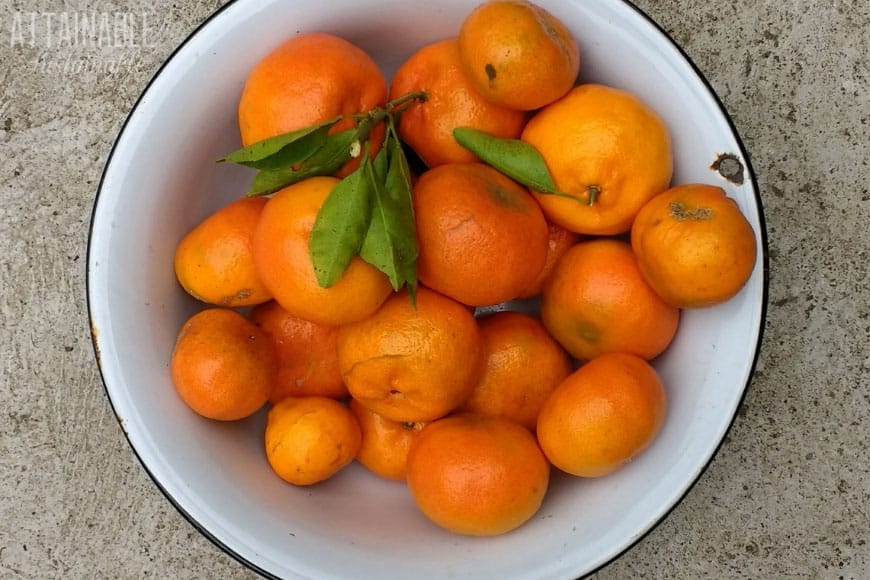 whole tangerines in a white bowl from above