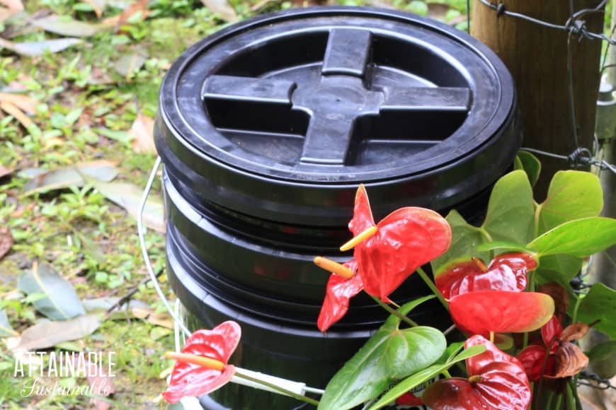 worm bin outside with red flowers