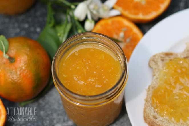 jar of tangerine marmalade, open and some spread on bread