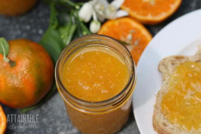 Easy Tangerine Marmalade Recipe