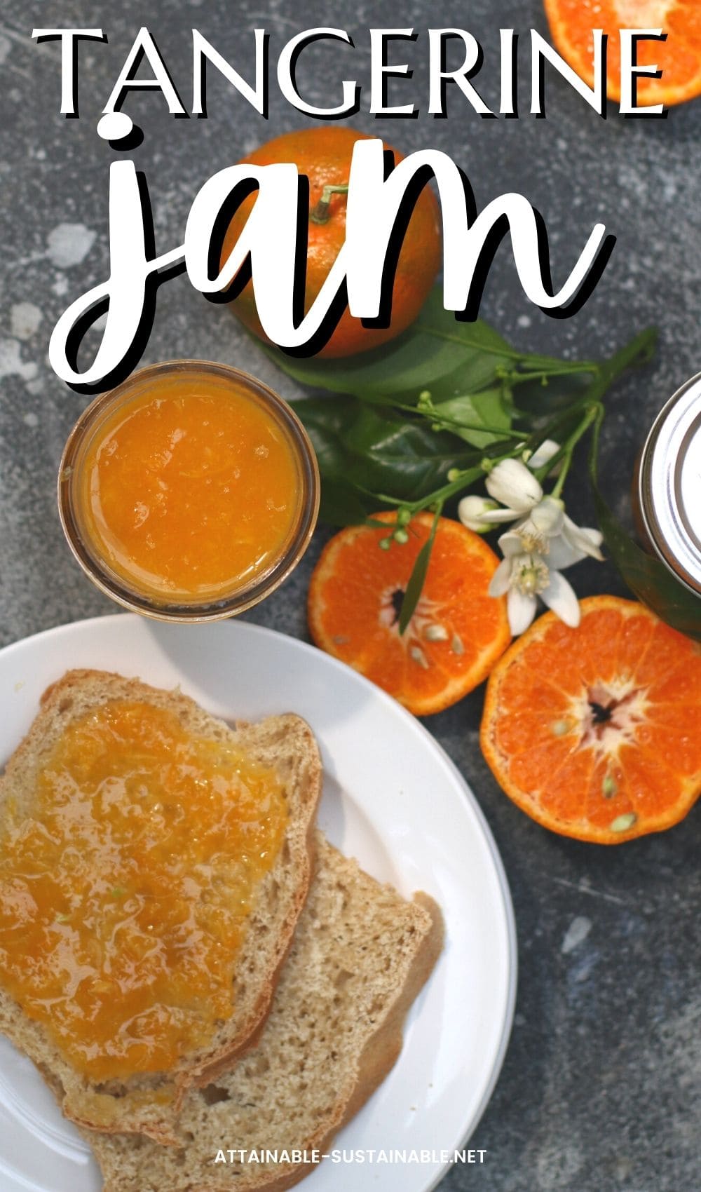 Easy Tangerine Marmalade Recipe