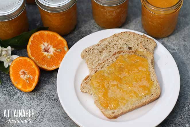 slices of bread with tangerine marmalade