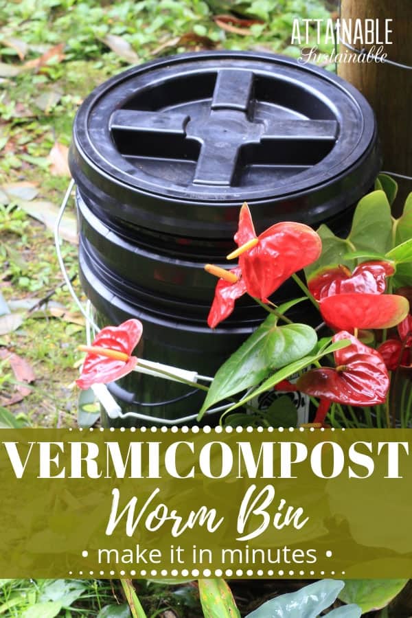 How to Make a Worm Bin for Less than 5 Easy DIY Worm Composter
