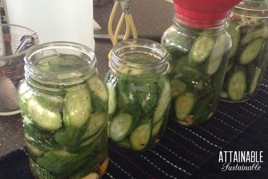 filling glass jars with vinegar for pickling