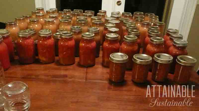 Dozens of jars on a table, filled with home preserved foods