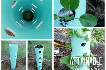 Can you manage to find 12 square inches in which to garden? Look what you can do! By taking your vegetable garden vertical, you can grow a lot in just a little space!