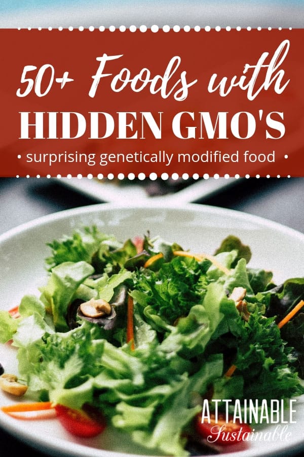 Genetically engineered food: Do you know where GMOs are hidden in your favorite products? Unbeknownst to you, they might be lurking in your cupboard, even if you're aiming for a non-GMO pantry. Genetically engineered food can be sneaky. Here's what to watch for when shopping for healthy, non-GMO food. #health #food #healthyliving