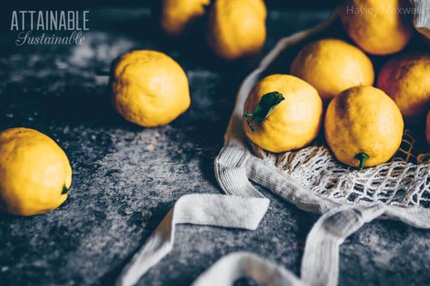 lemons and a reusable eco-friendly bag