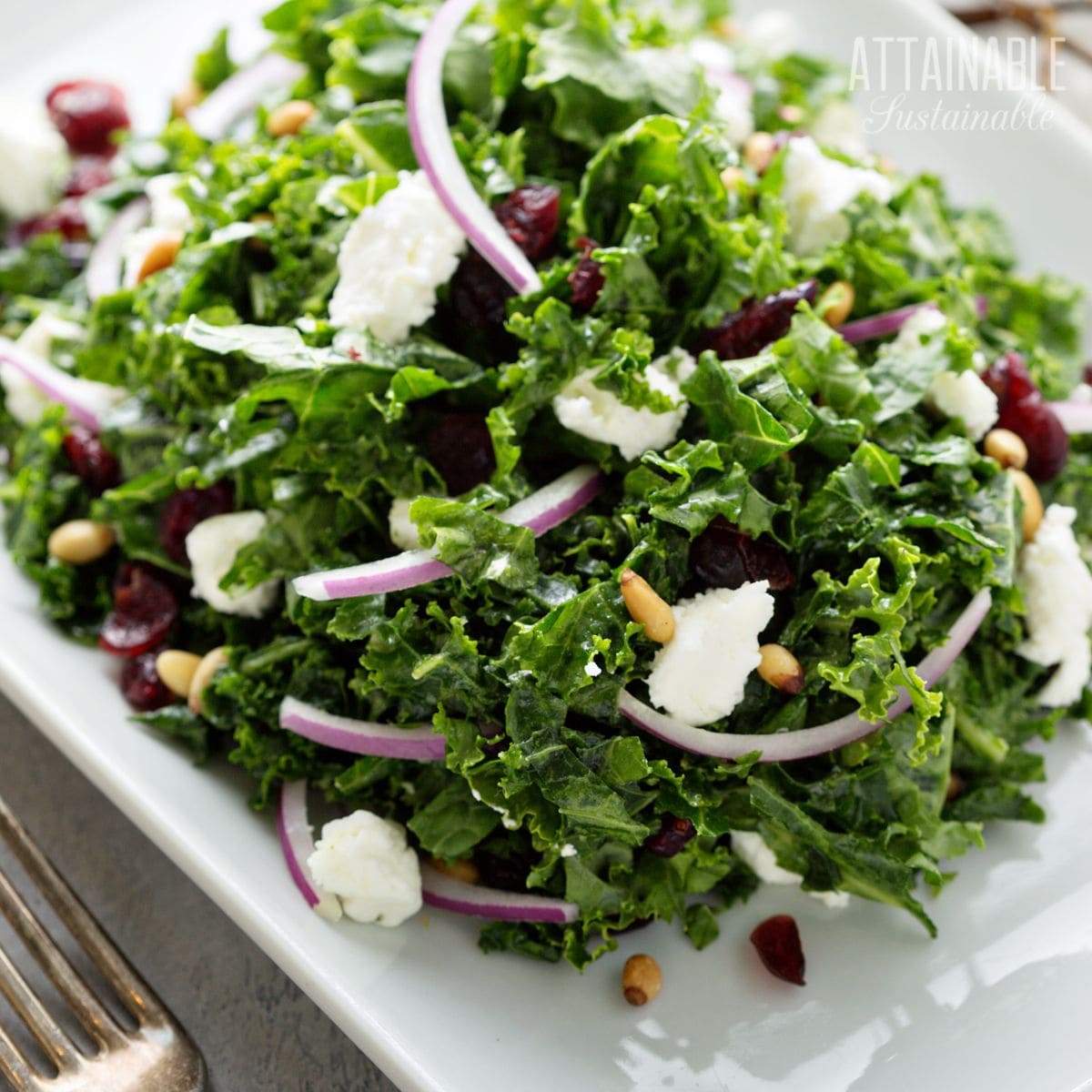 kale salad with feta and red onions on a white platter.