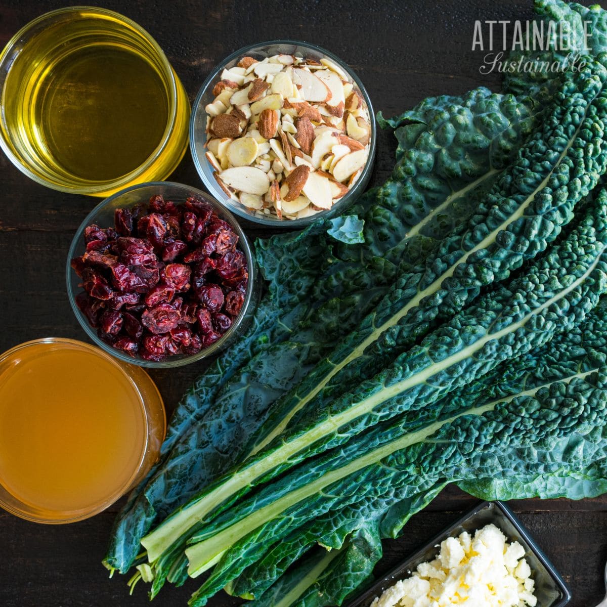 lacinato kale with ingredients for kale salad.