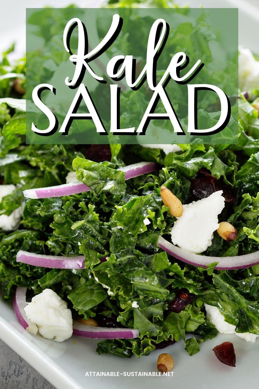 close up of kale salad with red onions and feta cheese.