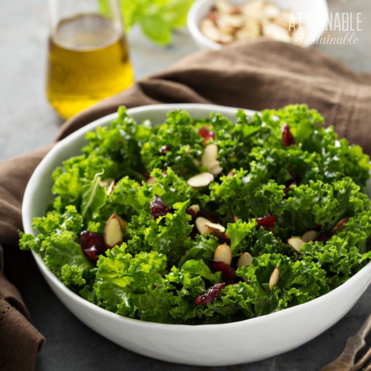 kale salad with cranberries and slivered almonds in a white bowl.