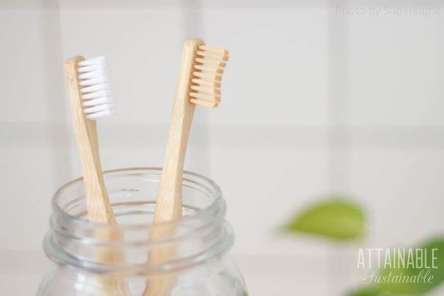 bamboo toothbrushes