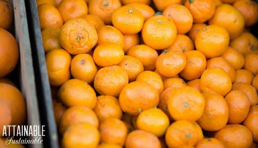 fresh tangerines