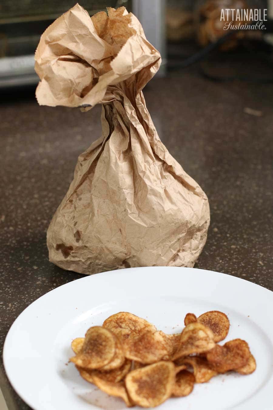 BBQ potato chips with a brown bag behind.