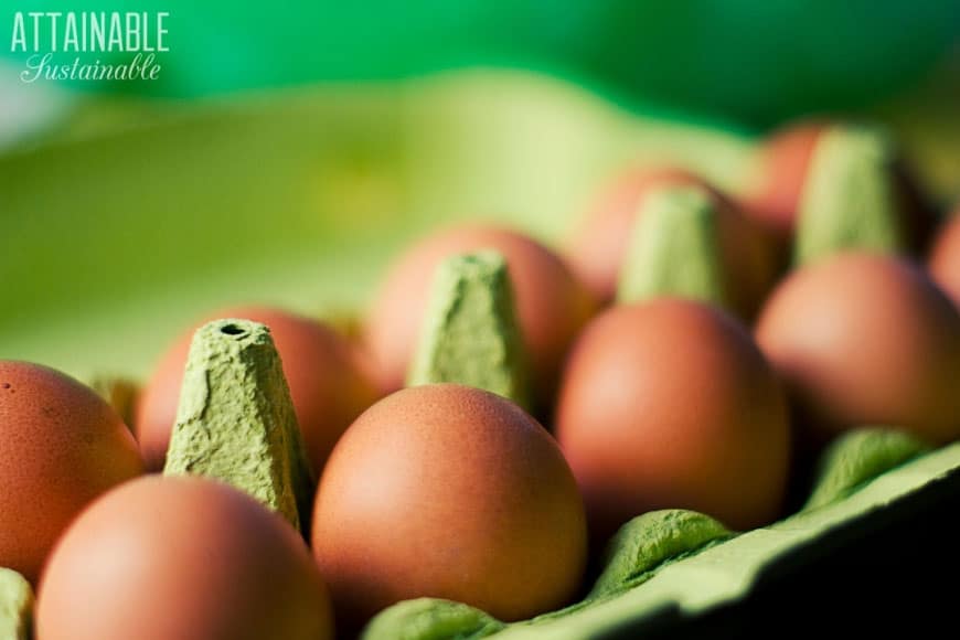 brown eggs in a green paperboard egg carton