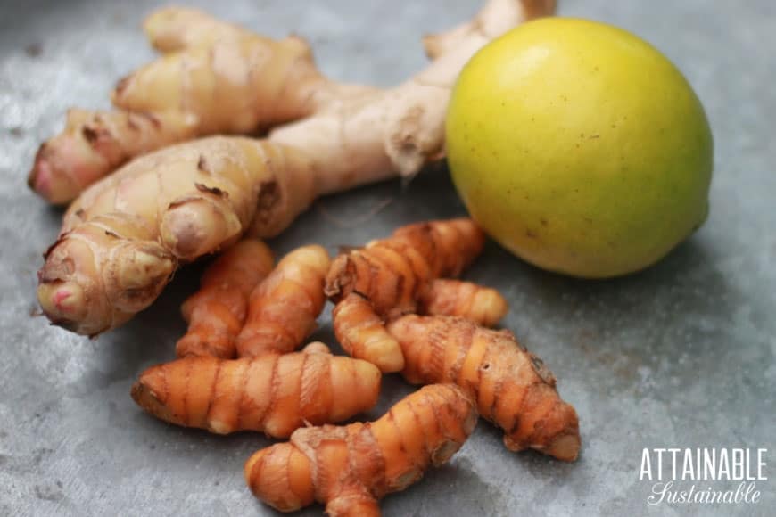 fresh ginger, turmeric, whole lemon