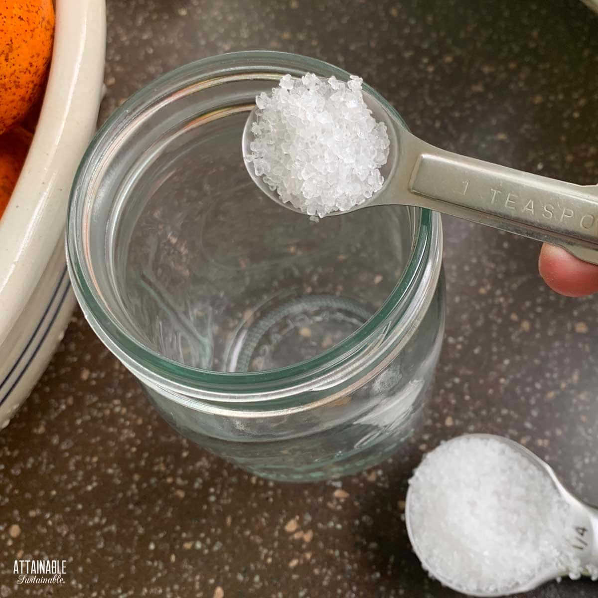 teaspoon of salt, measuring into a glass jar.