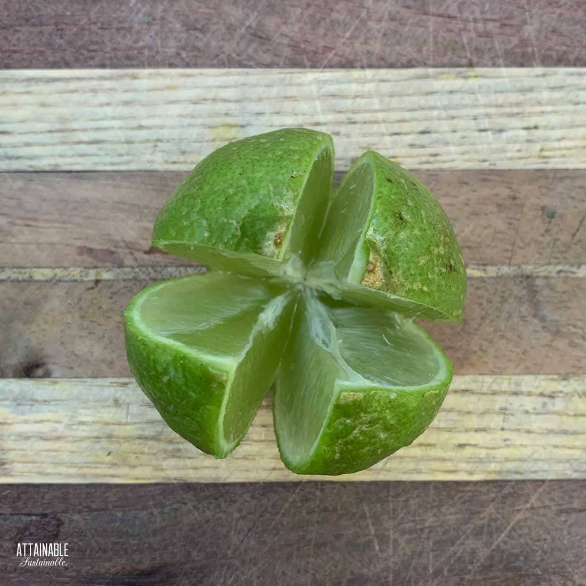 Fresh lime, cut into quarters, but still intact.