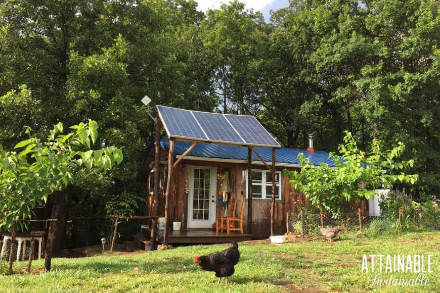 tiny house with a green lawn (and a black chicken)