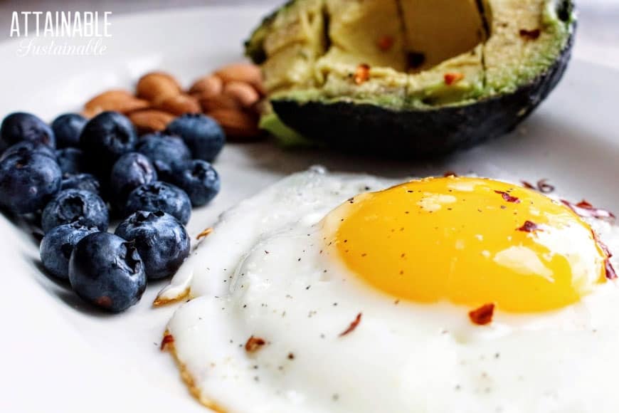 fried egg, sunny side up on a plate with avocado, blueberries and almonds