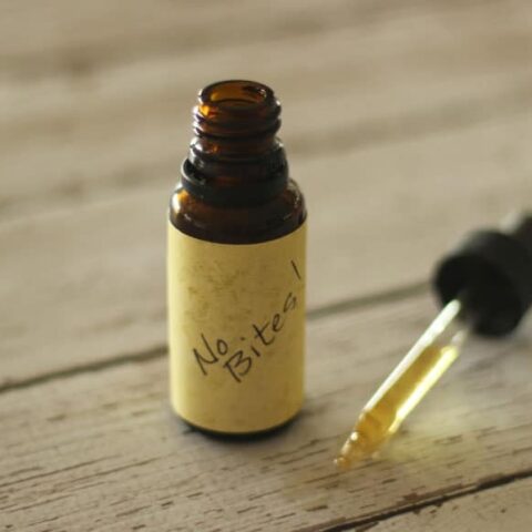 Natural Homemade Mosquito Repellent