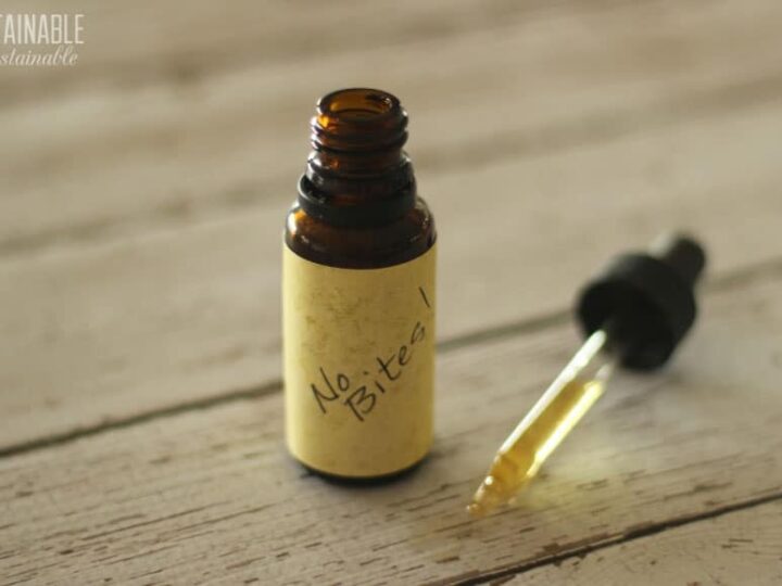 Homemade Mosquito Repellent Is The Natural Answer To Fewer Bites