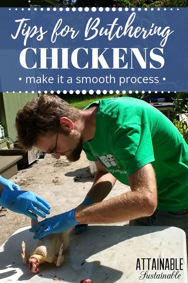 man in green shirt butchering chickens