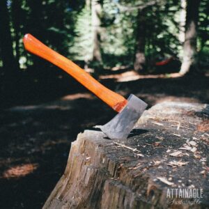 Hatchet in a tree stump.