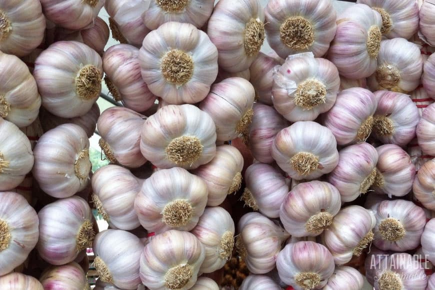 garlic braids, a perfect DIY homestead project