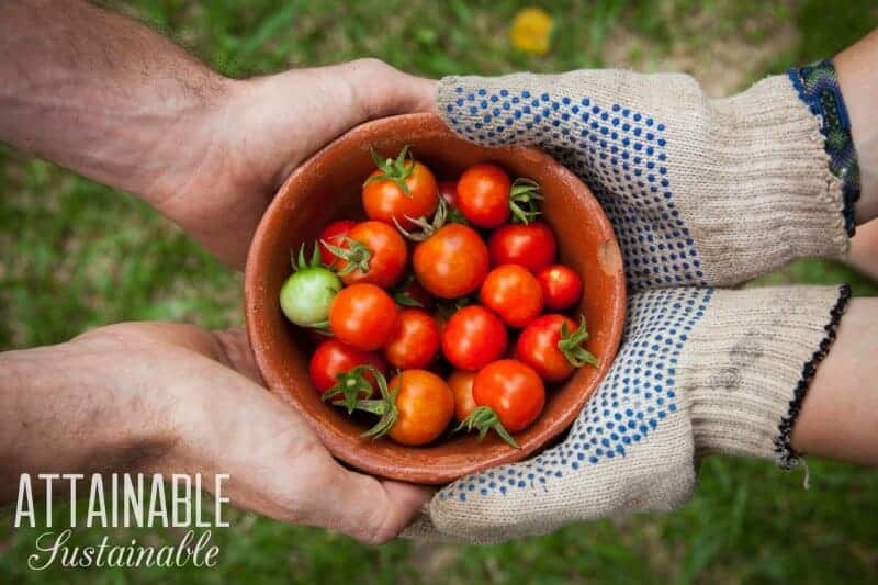 bowl of red cherry tomatoes being passed from one person to another