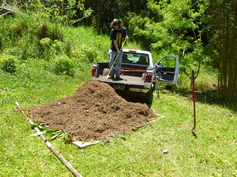 Turn Poor Soil Into A Thriving Garden With Lasagna Gardening