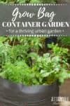 grow bag full of thriving veggies in an urban garden