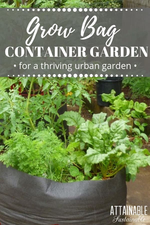 Growing food in an urban garden has its challenges. Finding a fast, easy way to start growing in raised beds isn't one of them. Grow bags can solve that problem! The porous material is great for plants, but the portable, lightweight nature of these grow bags makes them a good option for your urban garden. #urbangarden #garden #growingfood