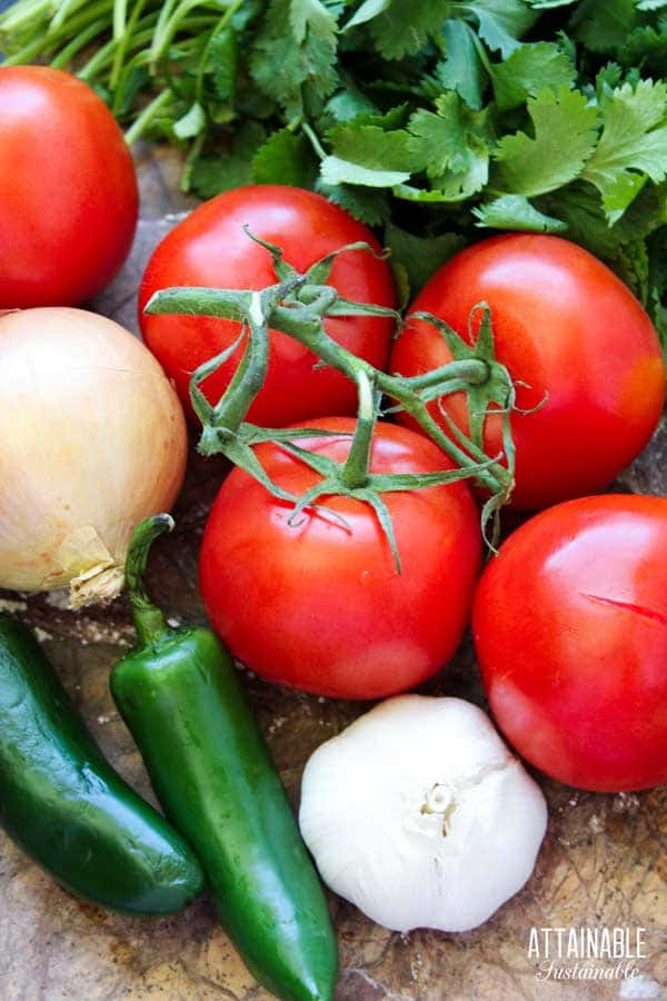 ingredients for fresh salsa.